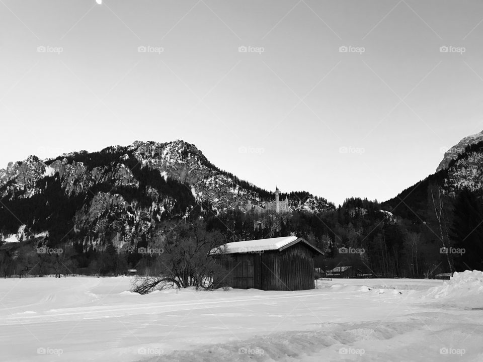 Abandoned shed with View of Neuschwanstein Castle