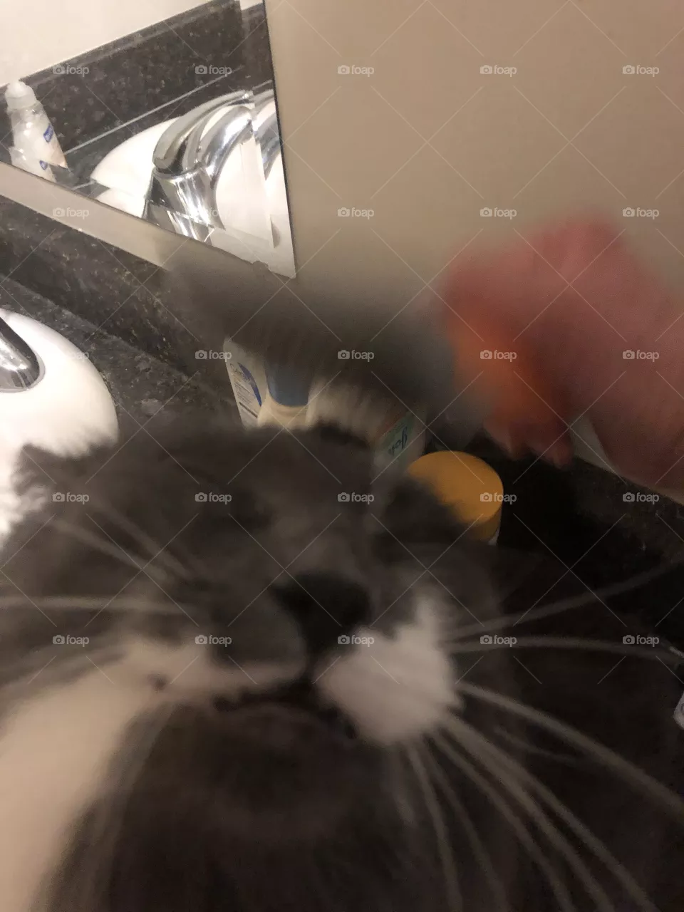 Brushing time