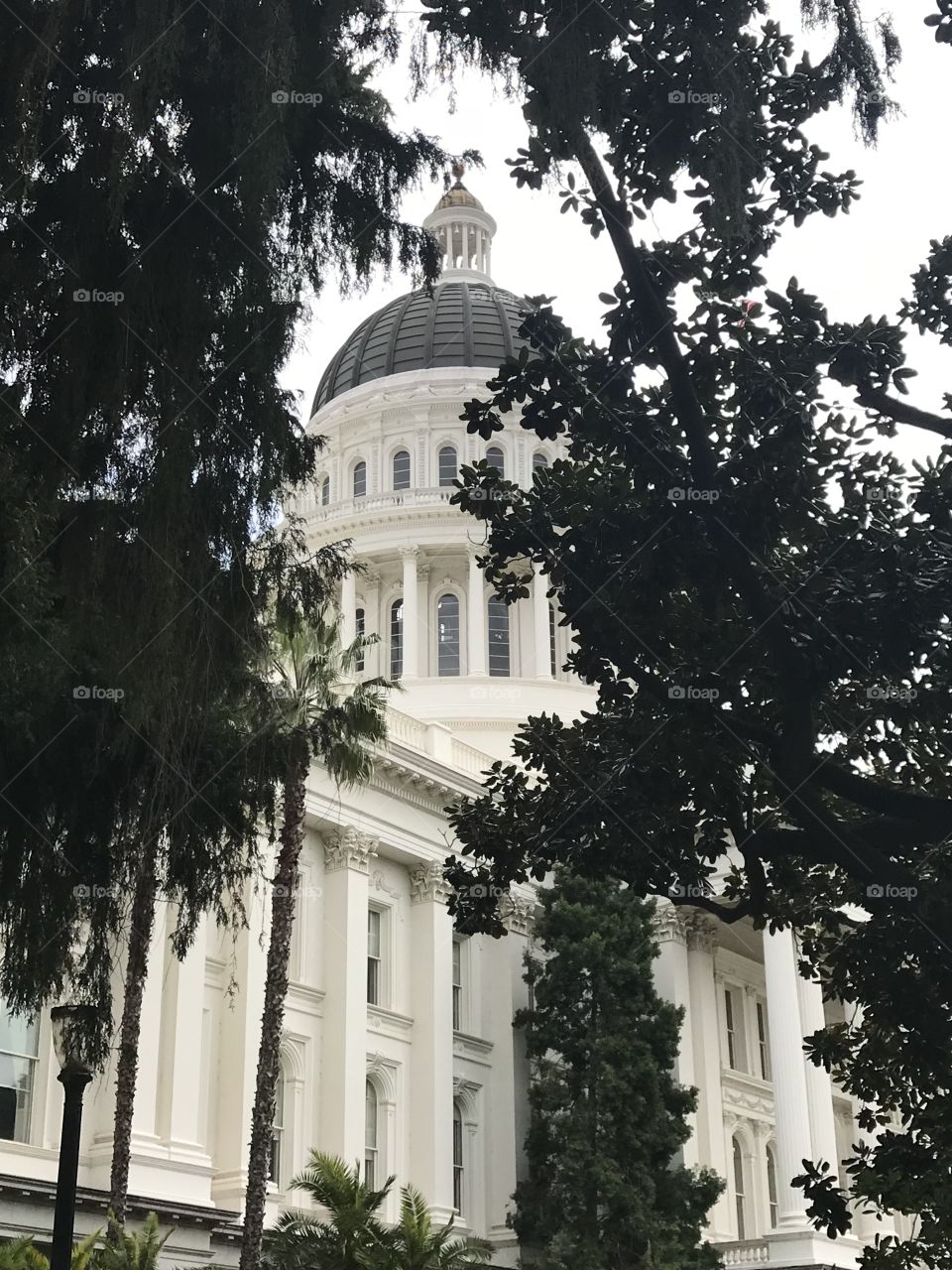 California State Capitol 