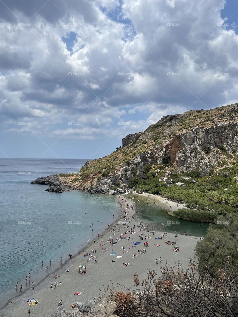 Palm Forest Crete Greece