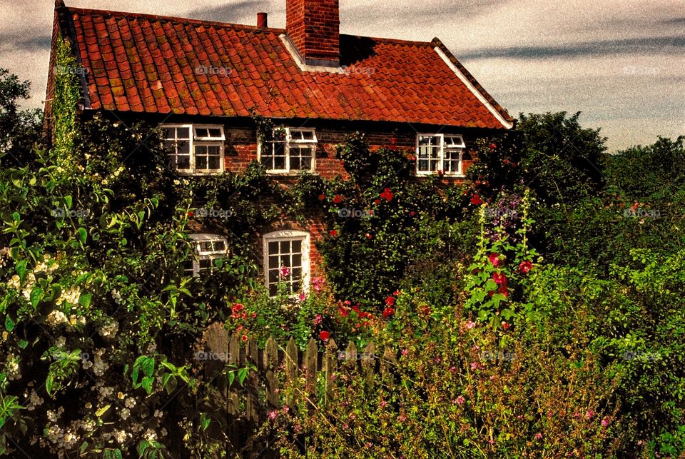 Cottage. England