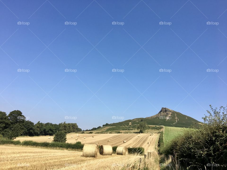 Loving the countryside ... walk to Roseberry Topping 