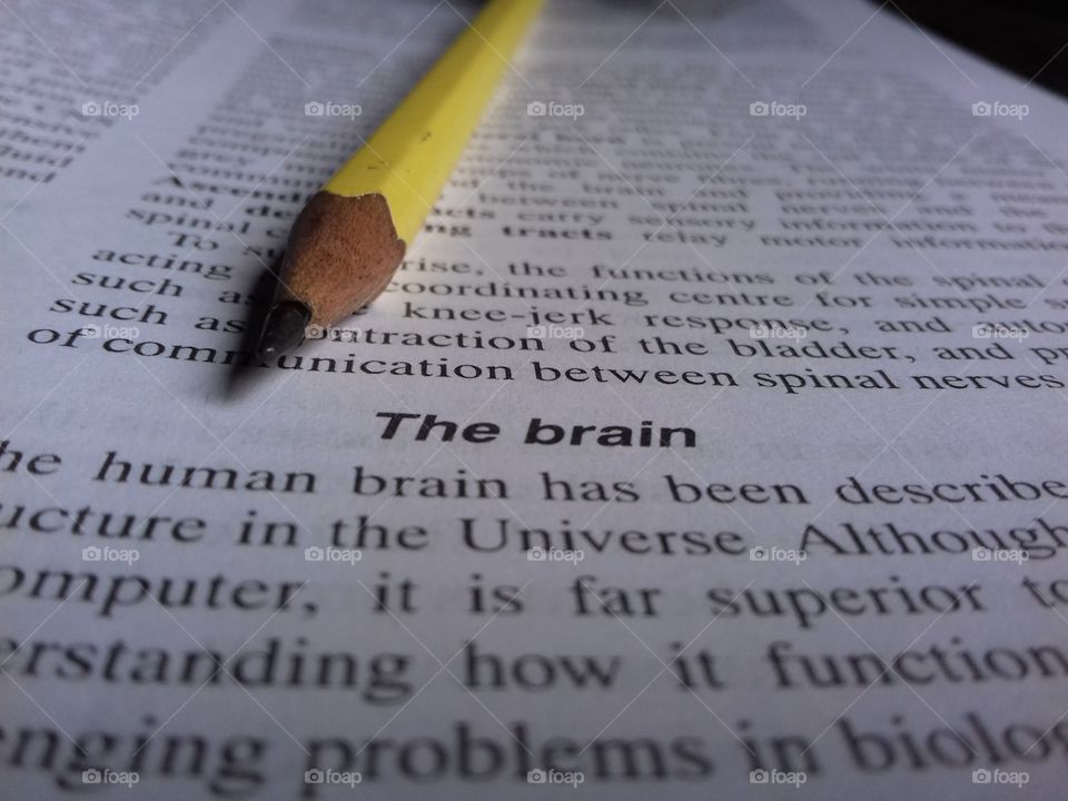 collecting knowledge to the brain
