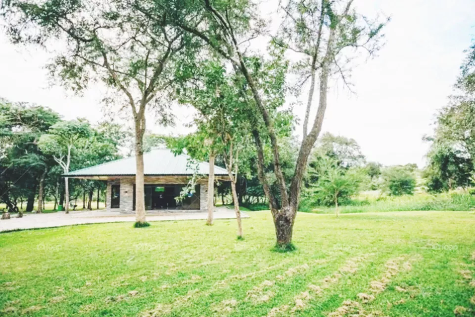 school compound