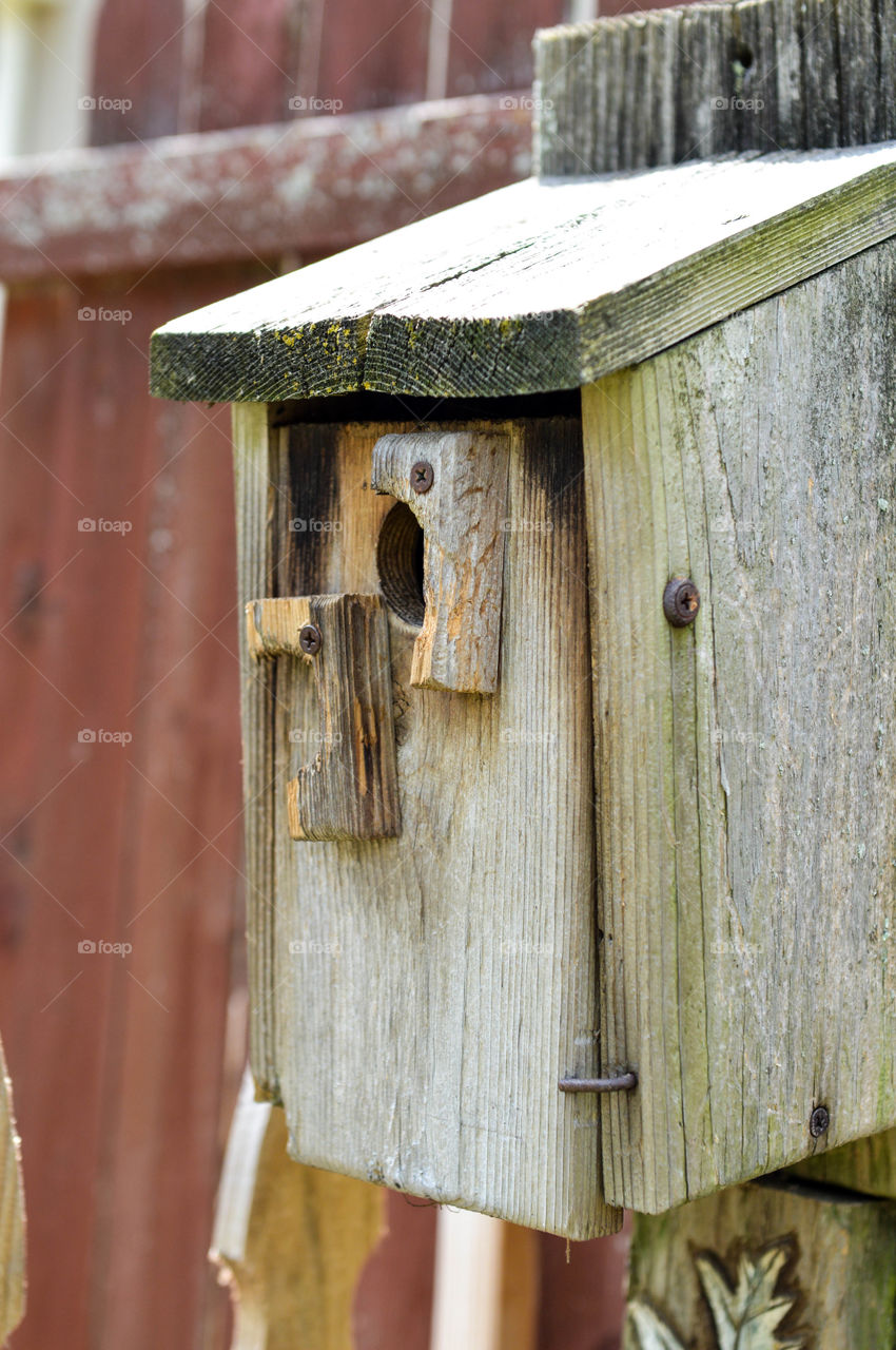 Broken, wooden bird house