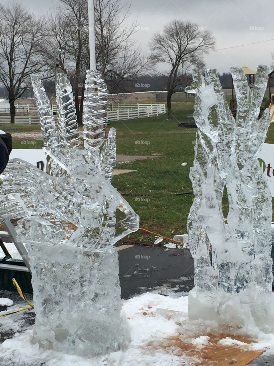 Fish ice carving 