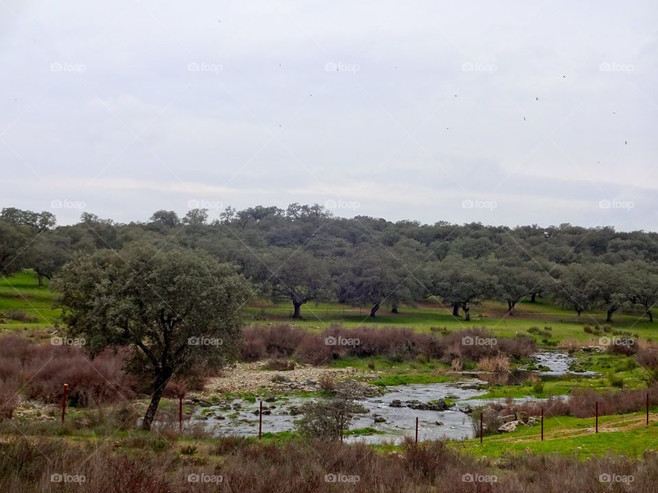 Hike outside Sevilla, Spain