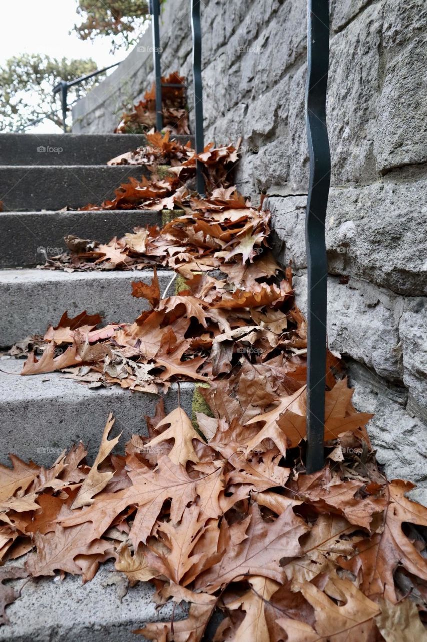 Fall leaves on stairs 