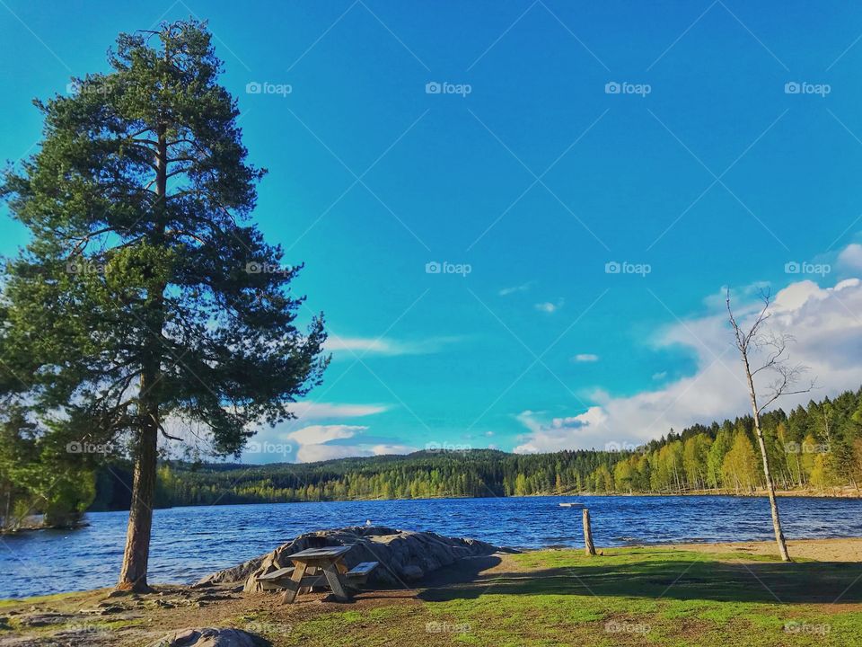 Sognsvann lake scenic view Oslo Norway 