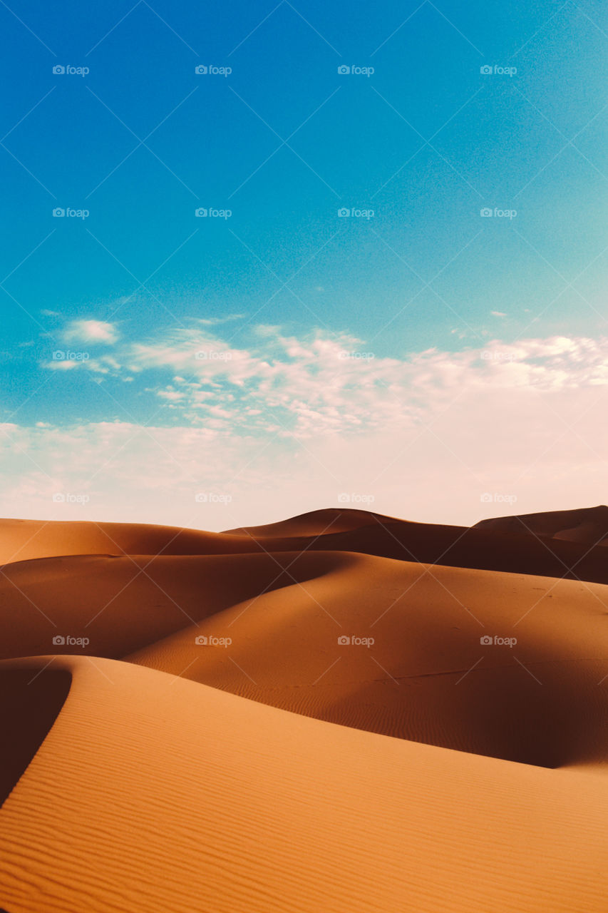 Sahara desert - dunes