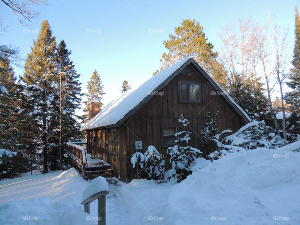 Wooden cottage in the snowy winter of the UP of Michigan. Several pine trees are visible in the background.