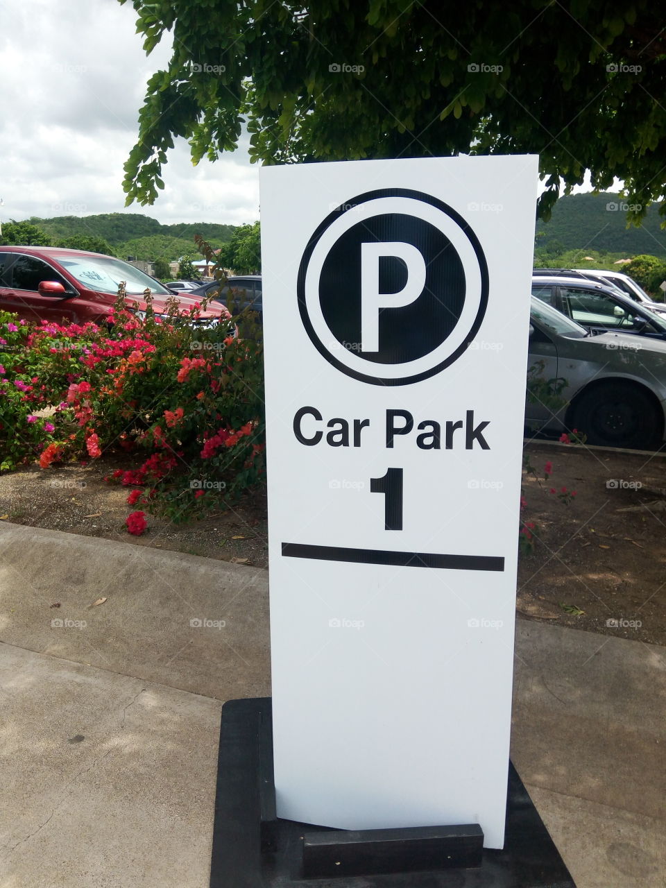 No Person, Road, Signal, Warning, Street