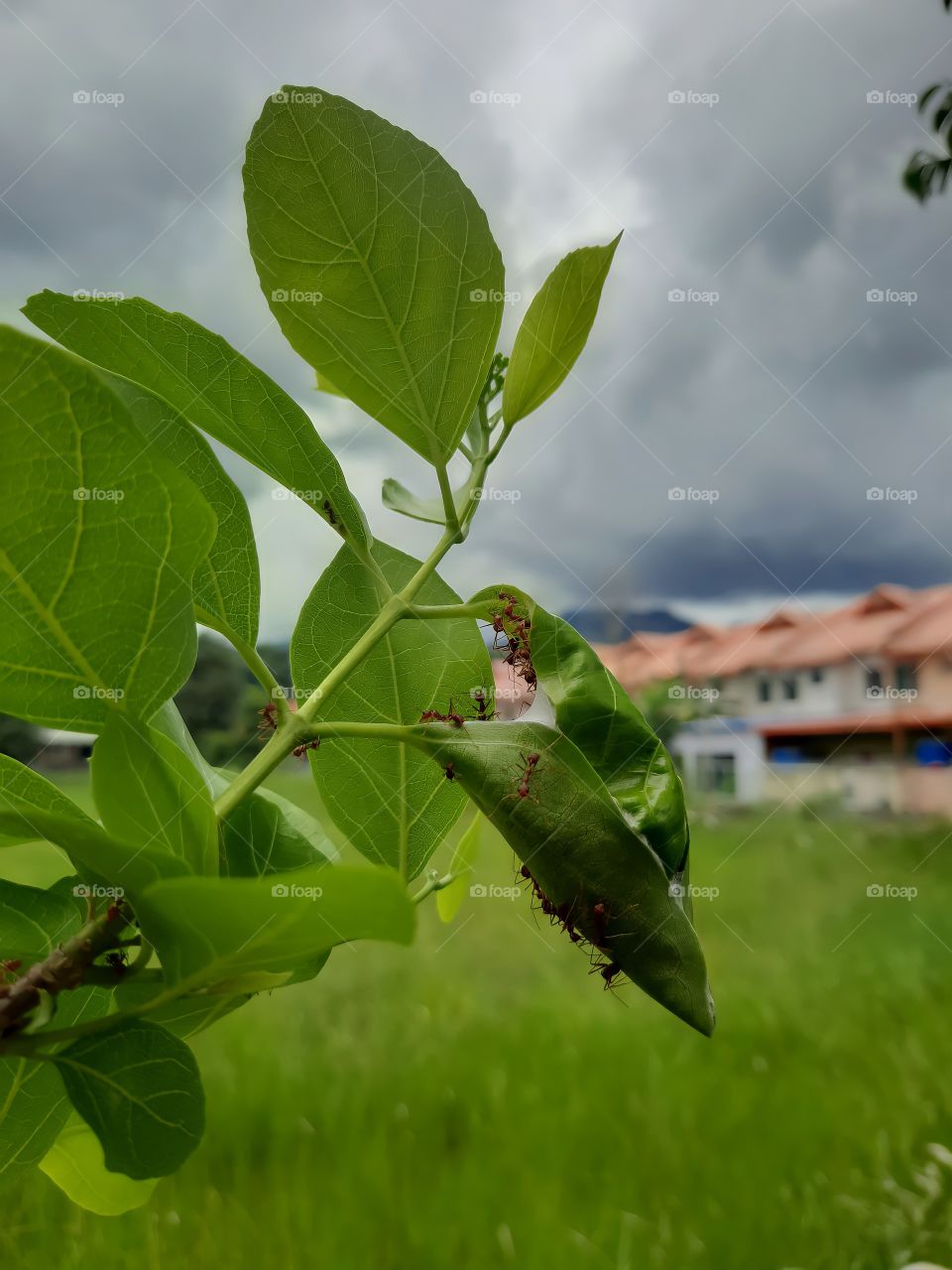 All we need is working together, and we will win in every situation 😇