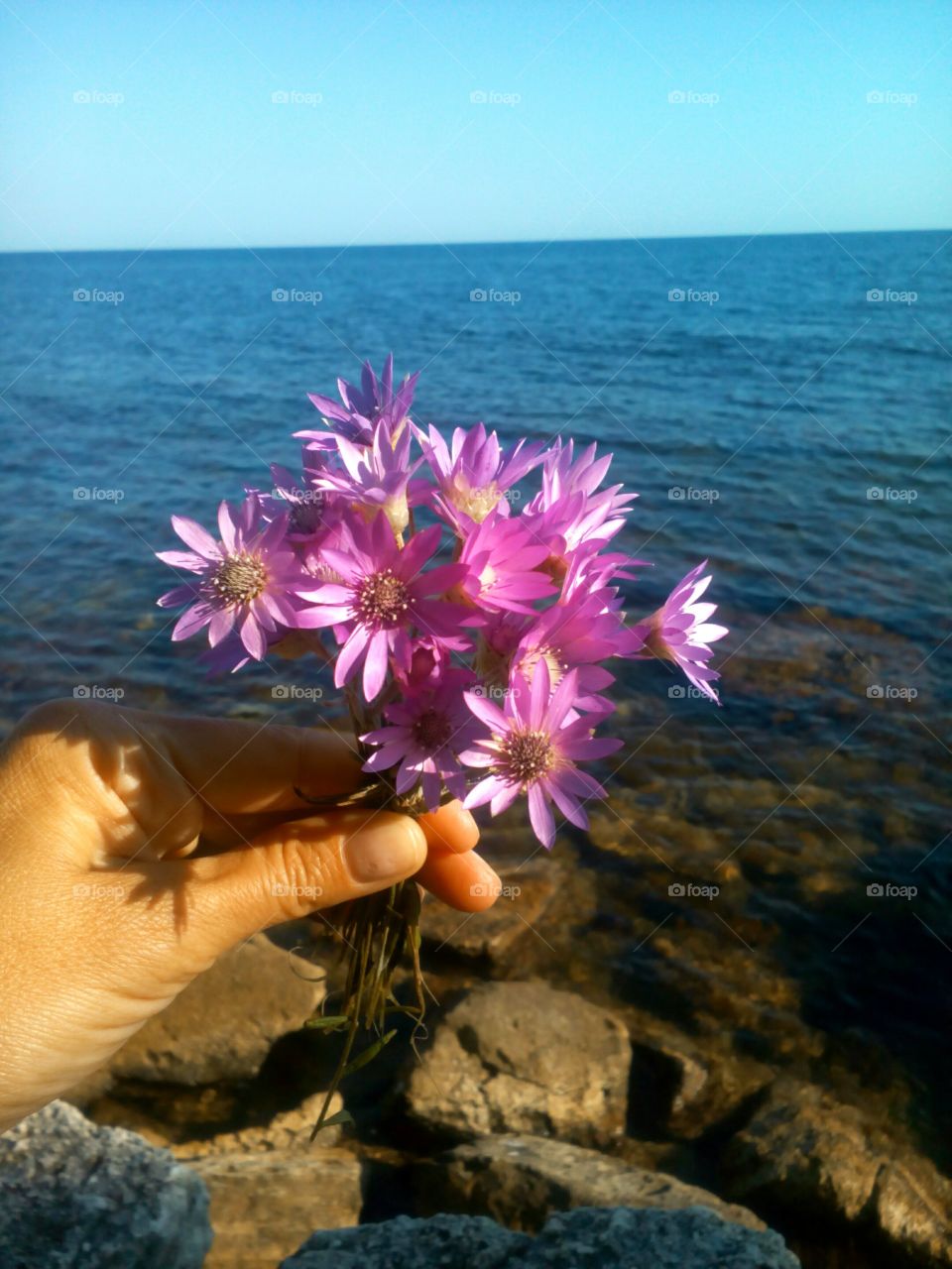 flowers in hand