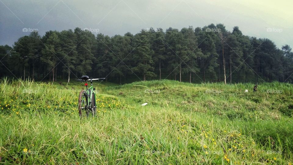 cycling mtb in the wild nature