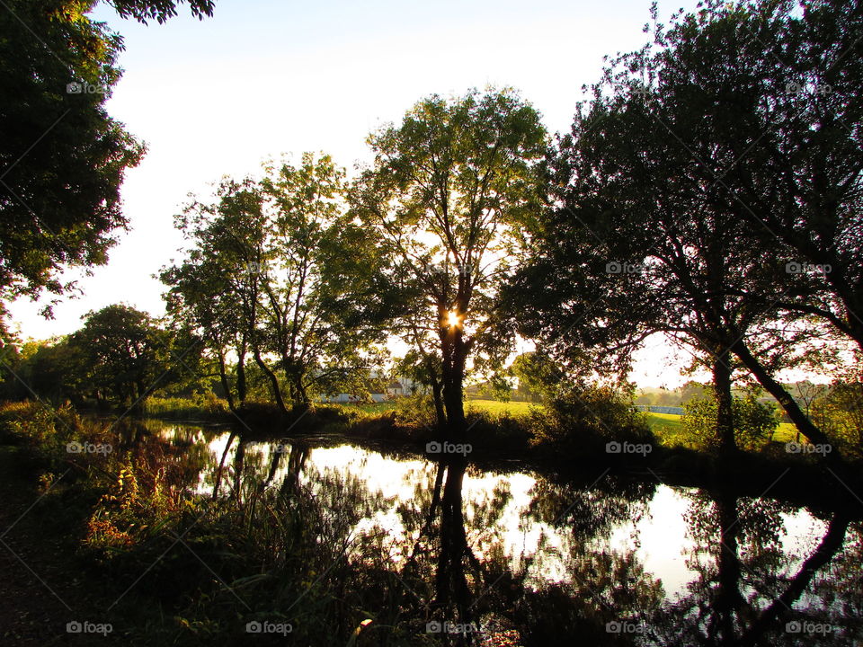 the low autumn sun shines through the trees lining the canal creating lovely reflections