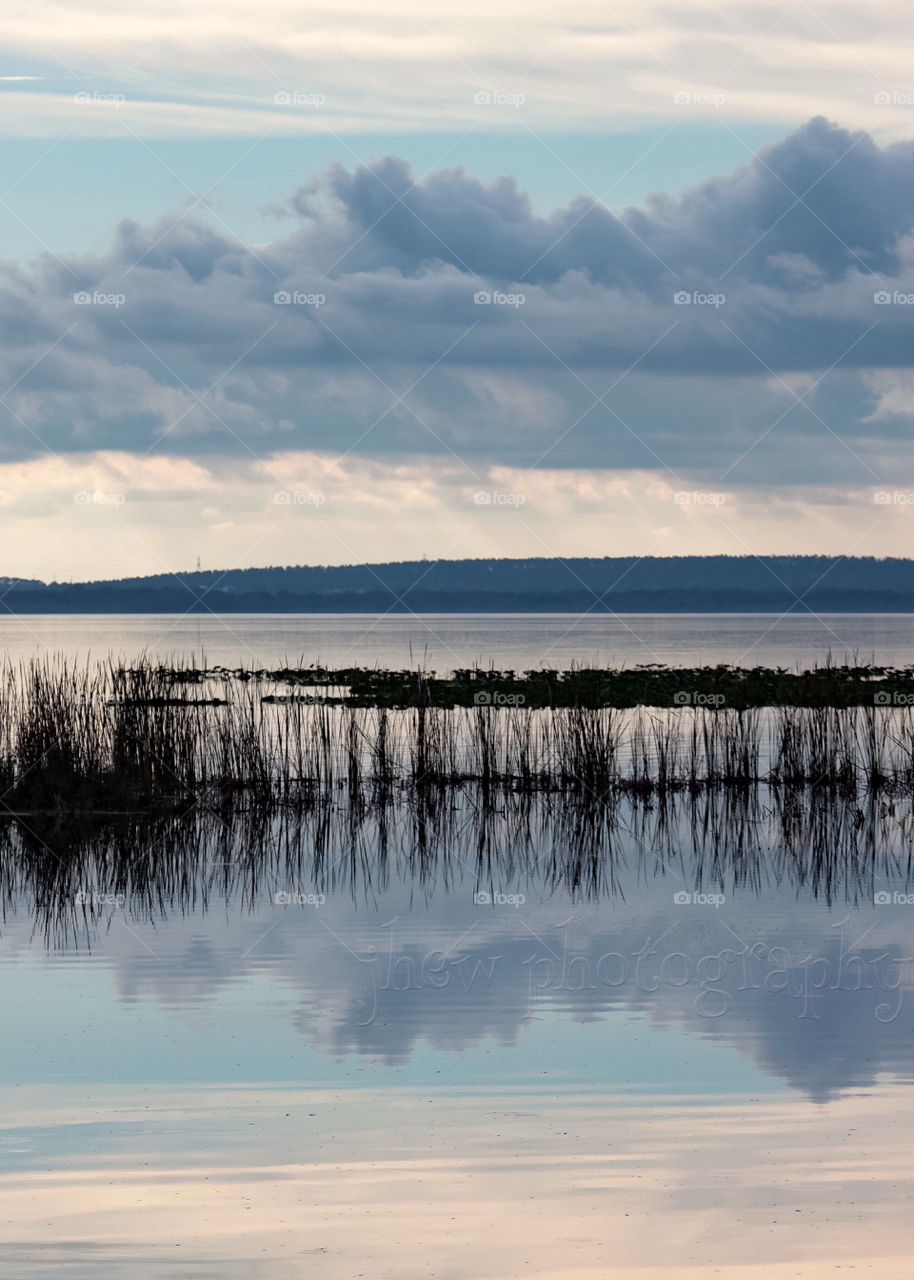 Lake Apopka Reflections