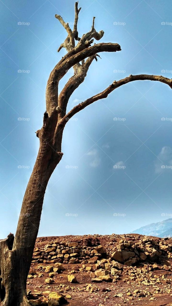 If you don't like how things are, change it! You're not a tree..