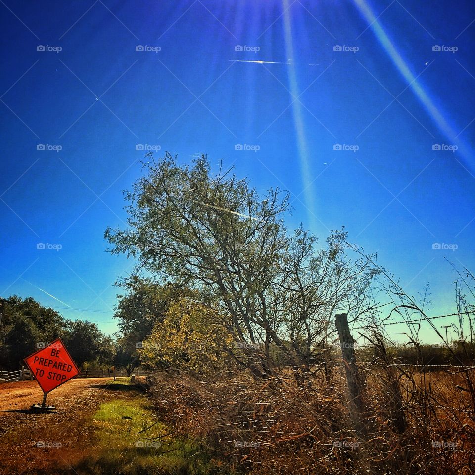 Illuminating sunrays 