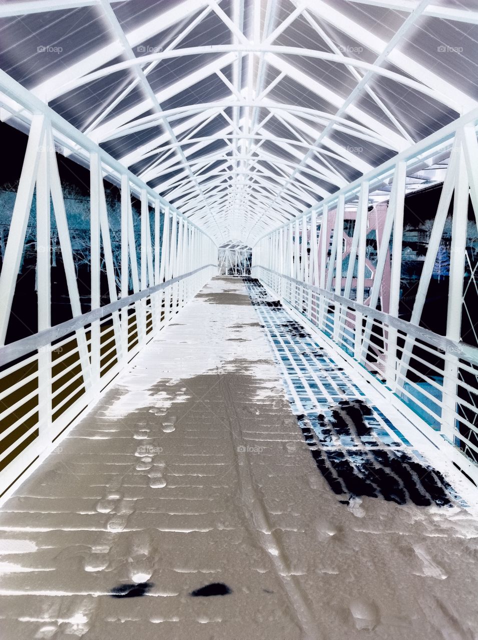 Bridge in Negative
