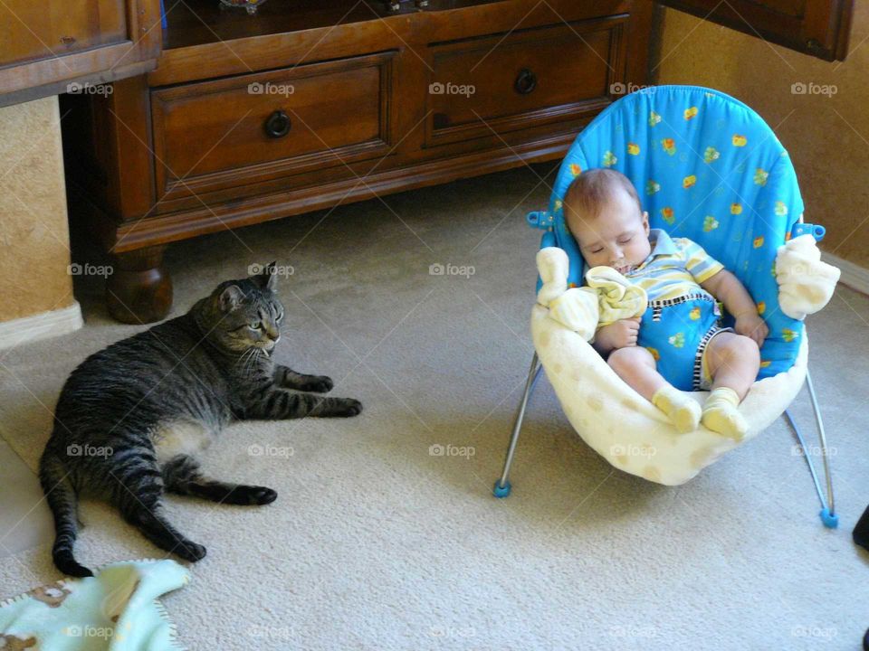 Baby and cat