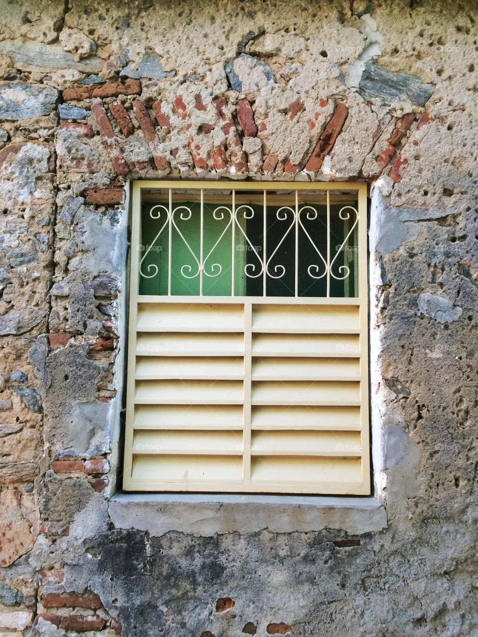 Window 