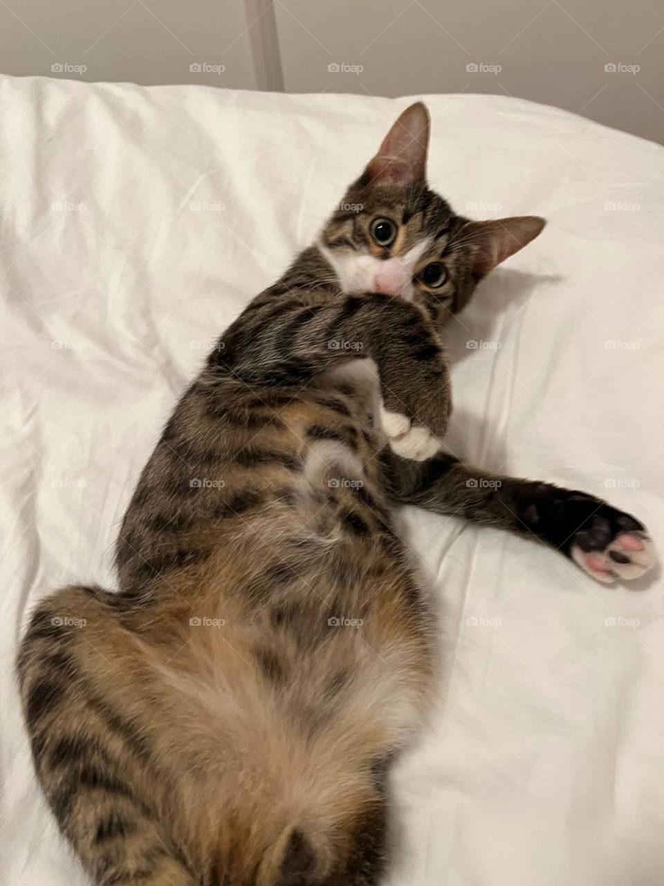 How much do you like this photo?