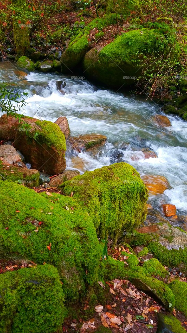 Feather Falls