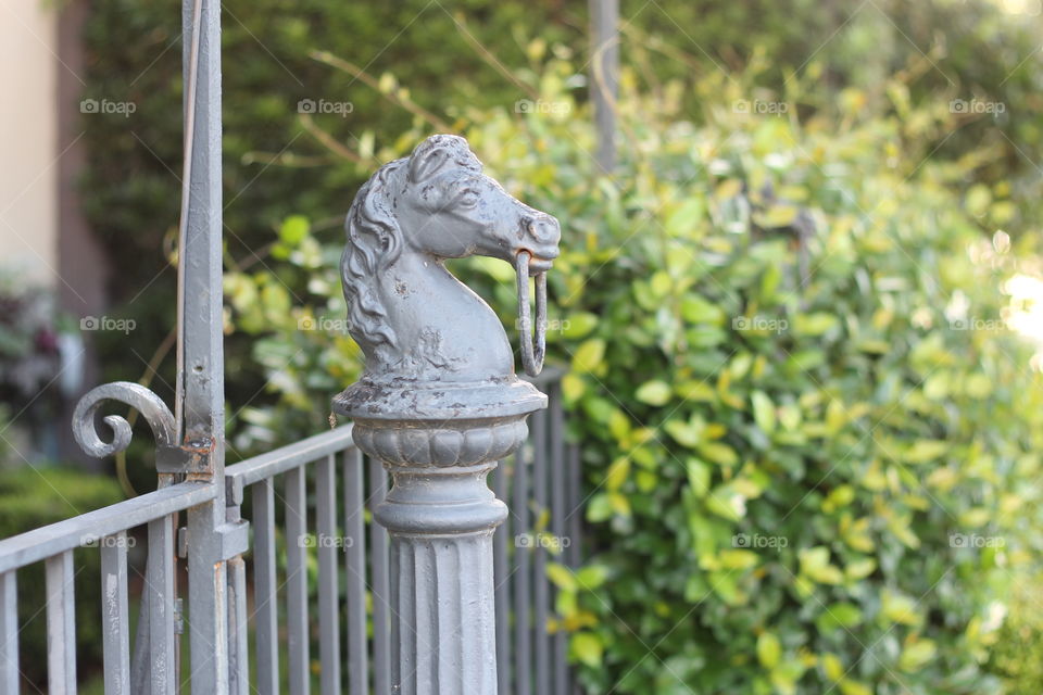 straight from the horses mouth