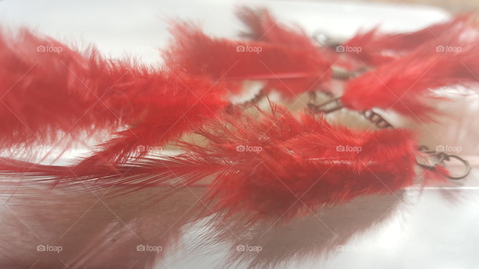 Red Feathers