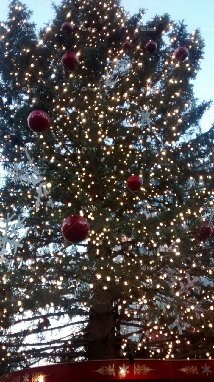 Christmas tree