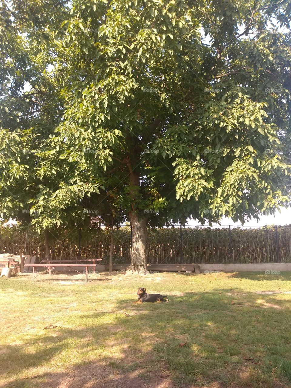 Editor's Choice - Photo of the Week!