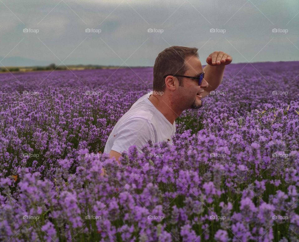 Hiding game in the lavender