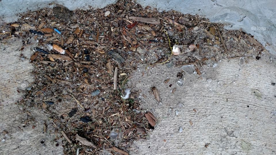nature's debris