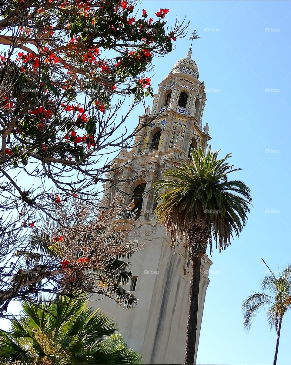 The Museum Of Man tower, surrounded by palm trees and colorful trees.