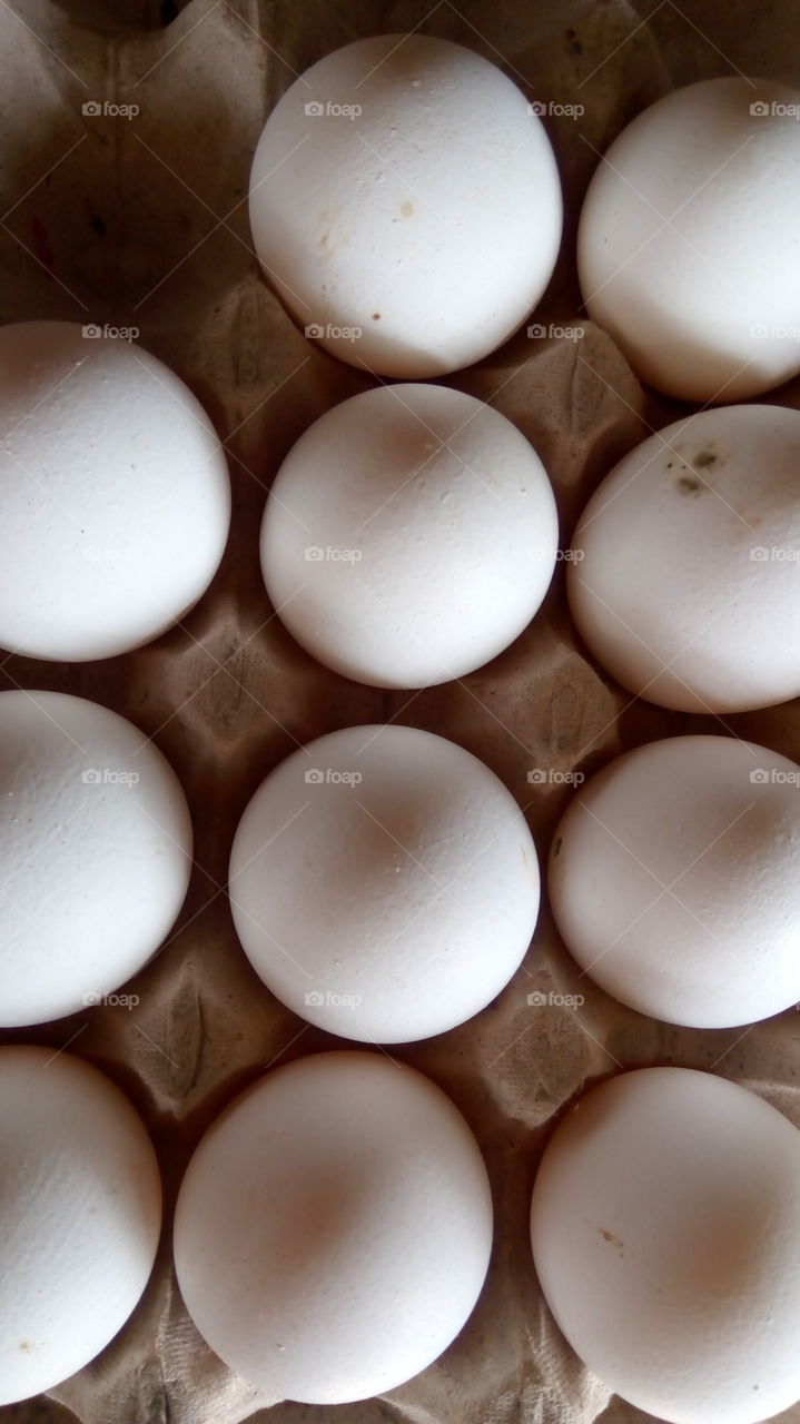 Close-up of egg carton
