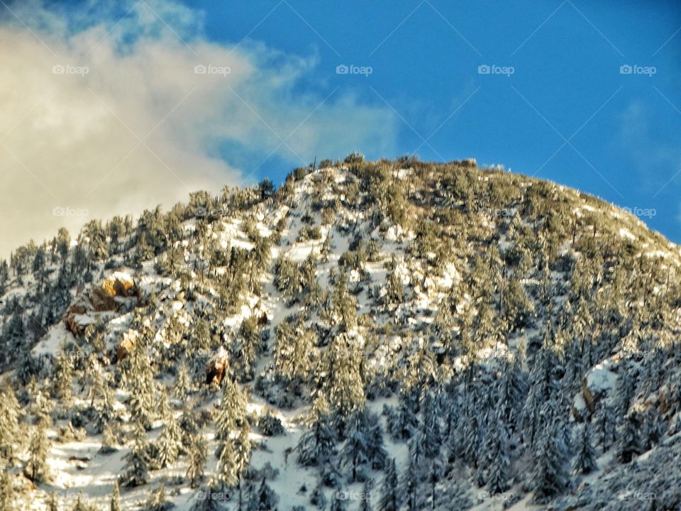 Winter Mountain Landscape