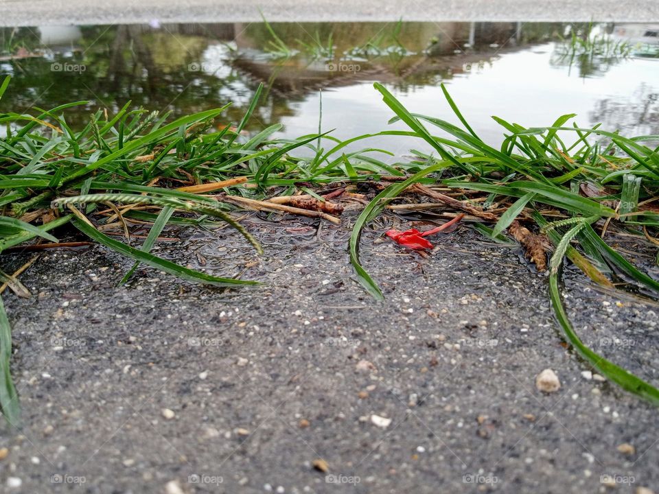 Puddles forming near the road after a heavy rain.