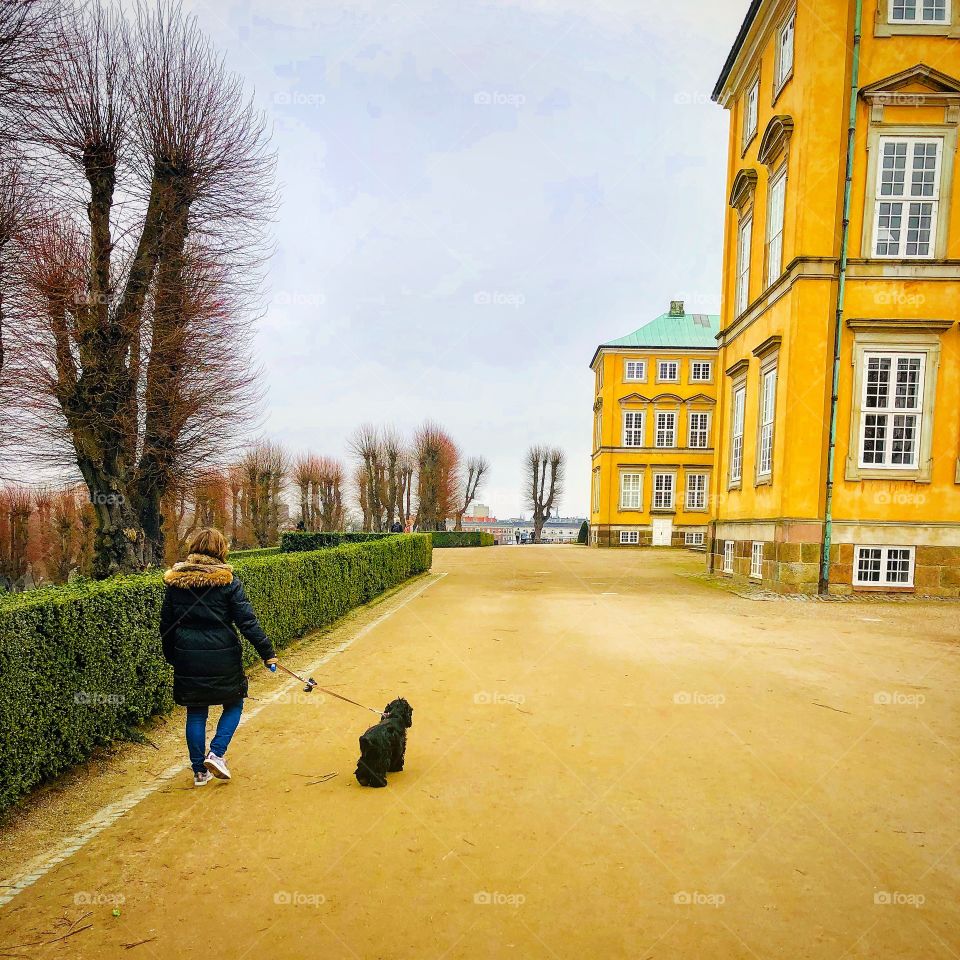 The Lady with the english cockerspaniel 