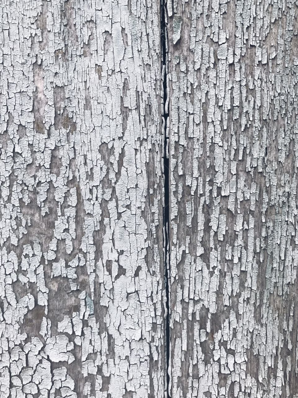 Full frame of weathered wooden planks