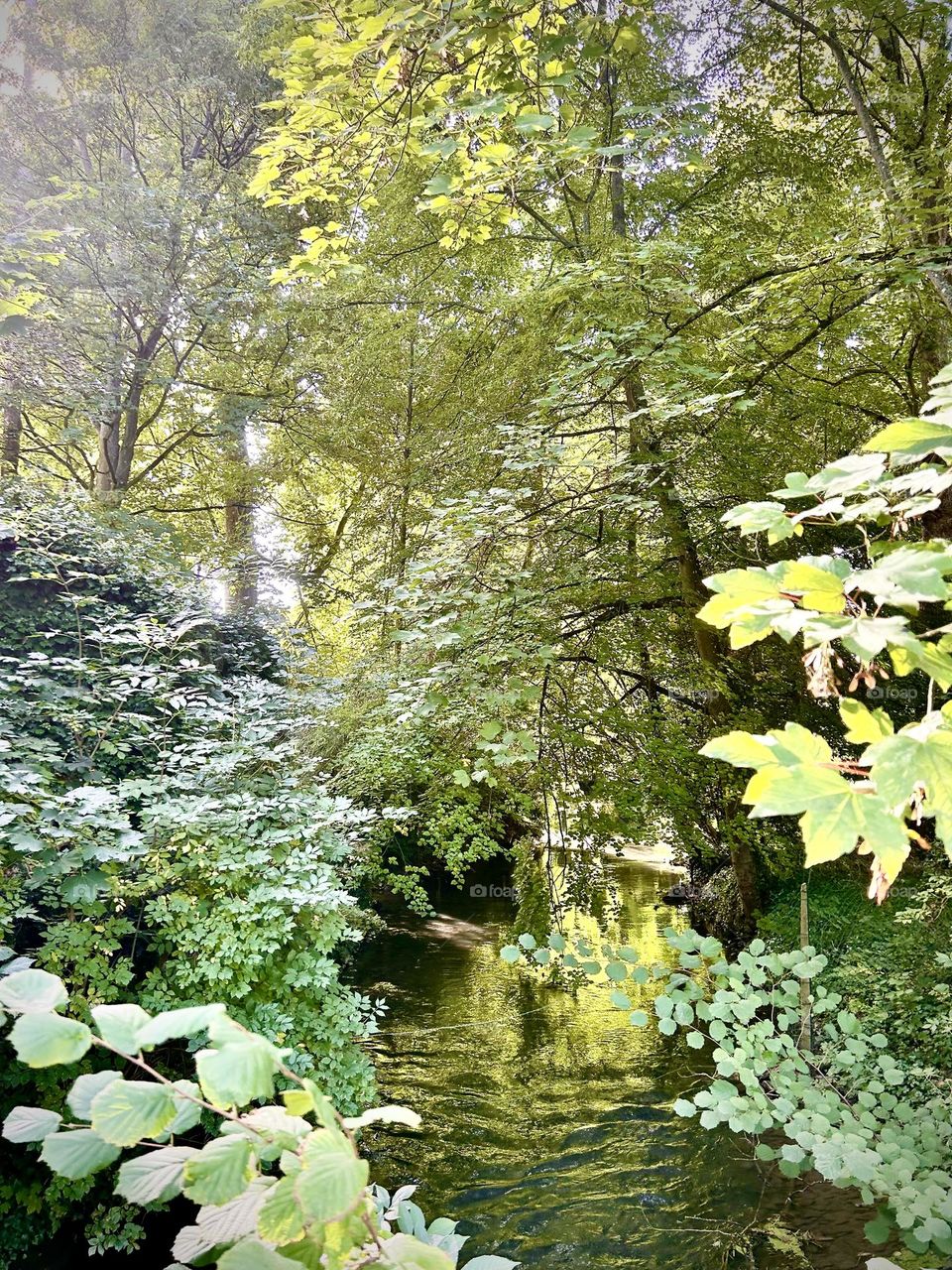 Canal  , Senlis Septembre 2023 . 