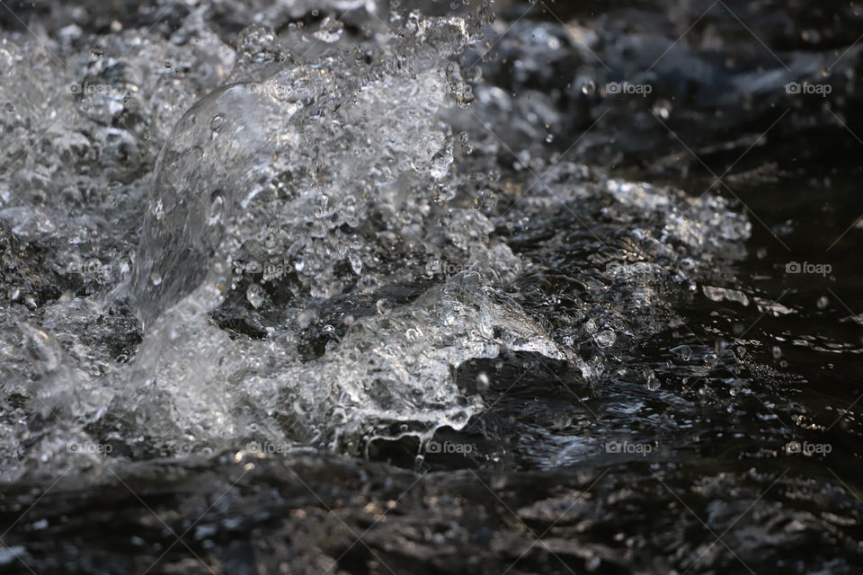 Water splash in the river caused by salmon run