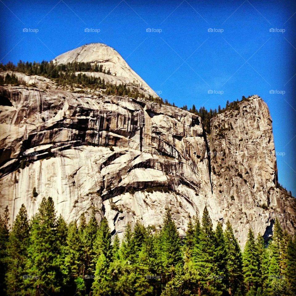 Yosemite National Park