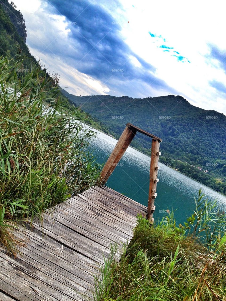 wooden path