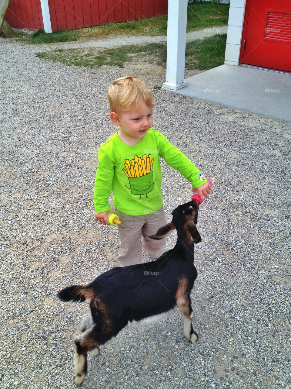 green yellow nature red by somebeach