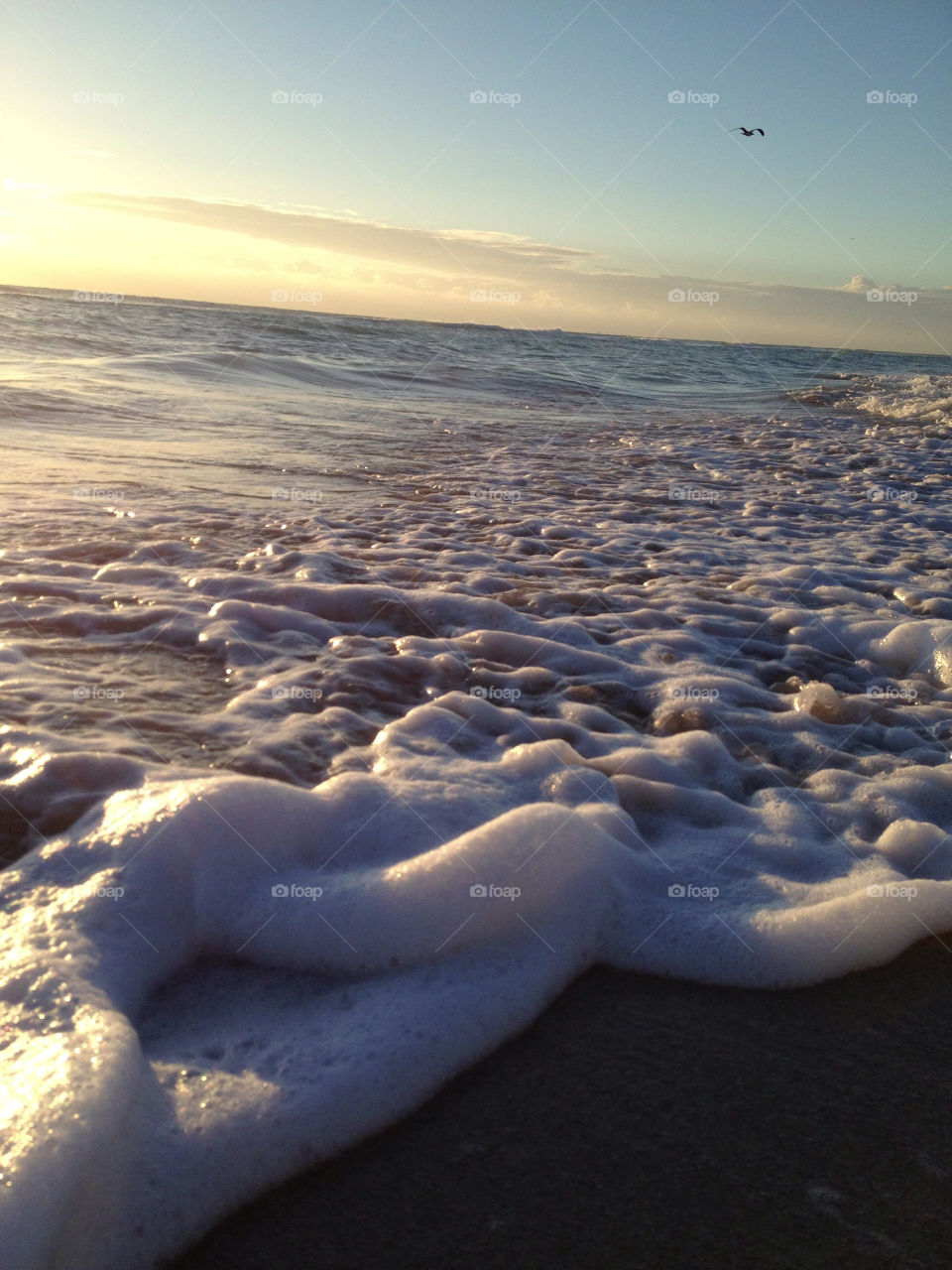 south beach miami florida ocean sunrise sea by bcpix