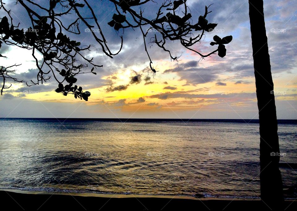 Lobster on the beach