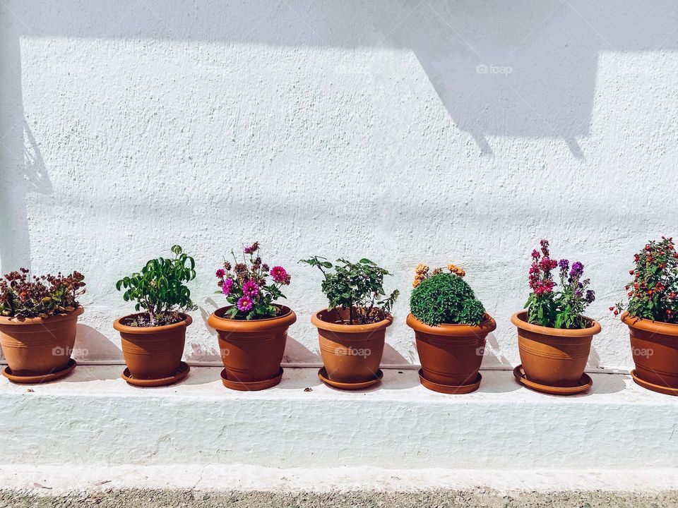 Clay pots with flowers in the line on the white curb