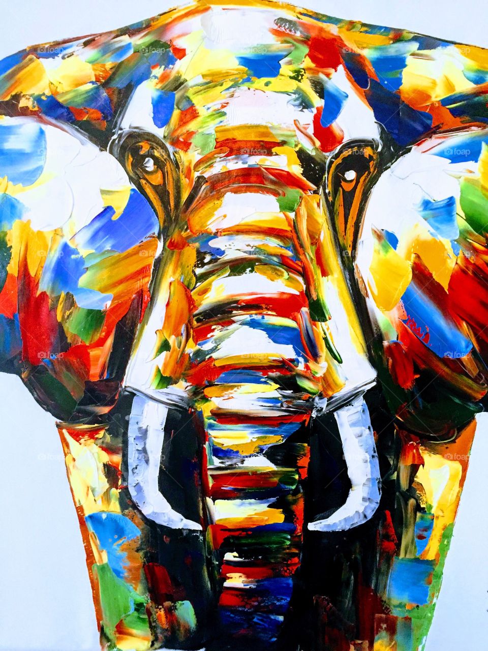 Colourful elephant 