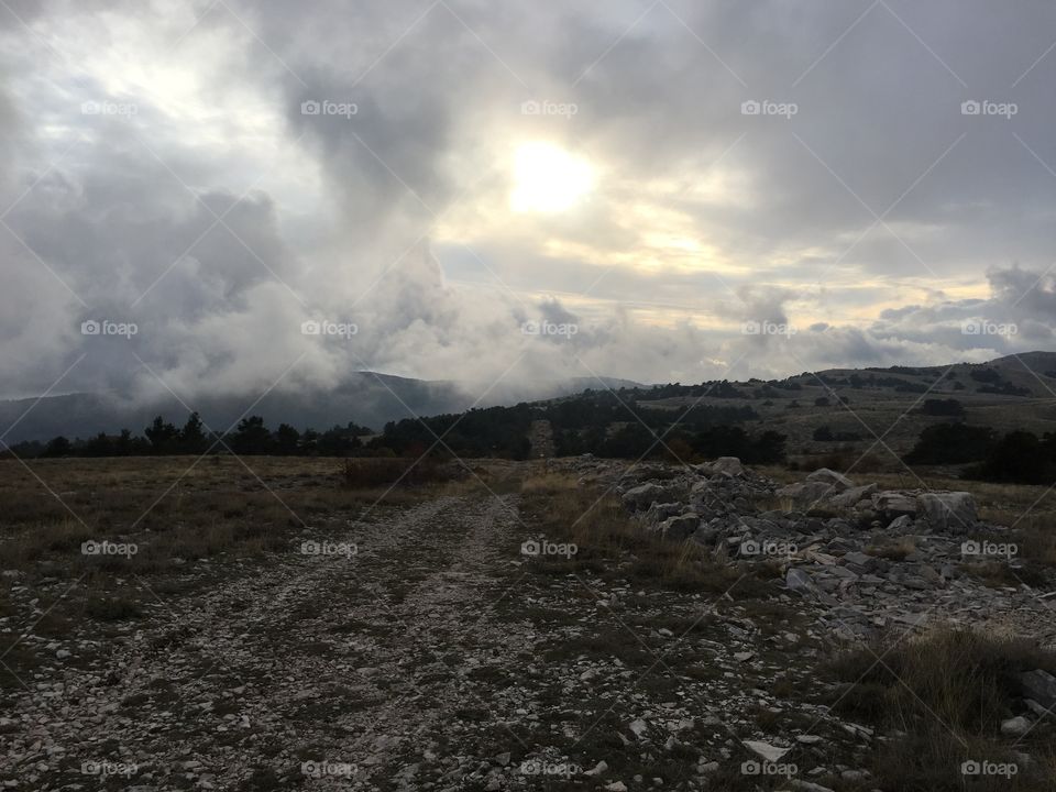 Scenic view of nature